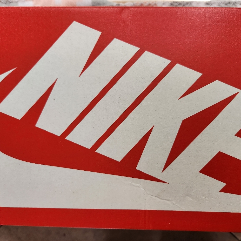 Nike Court Vision Lo Men's shoe, white